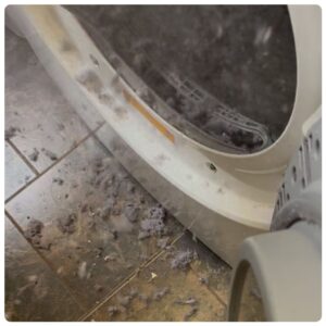 whatsapp image 2025 10 14 at 22.49.32 (1)