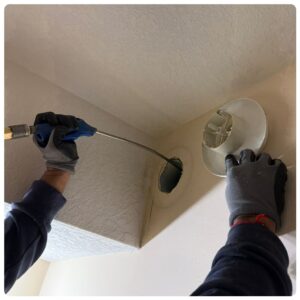 whatsapp image 2025 10 14 at 22.49.36 (1)